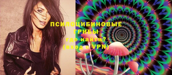 МДПВ Абдулино