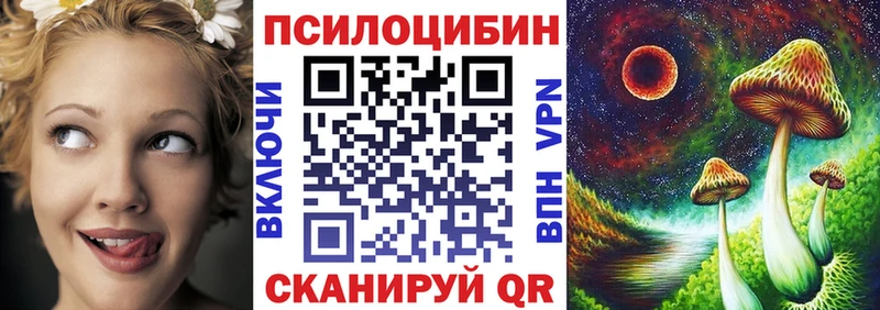 где продают наркотики  мега ссылка  Псилоцибиновые грибы мицелий  Яранск 